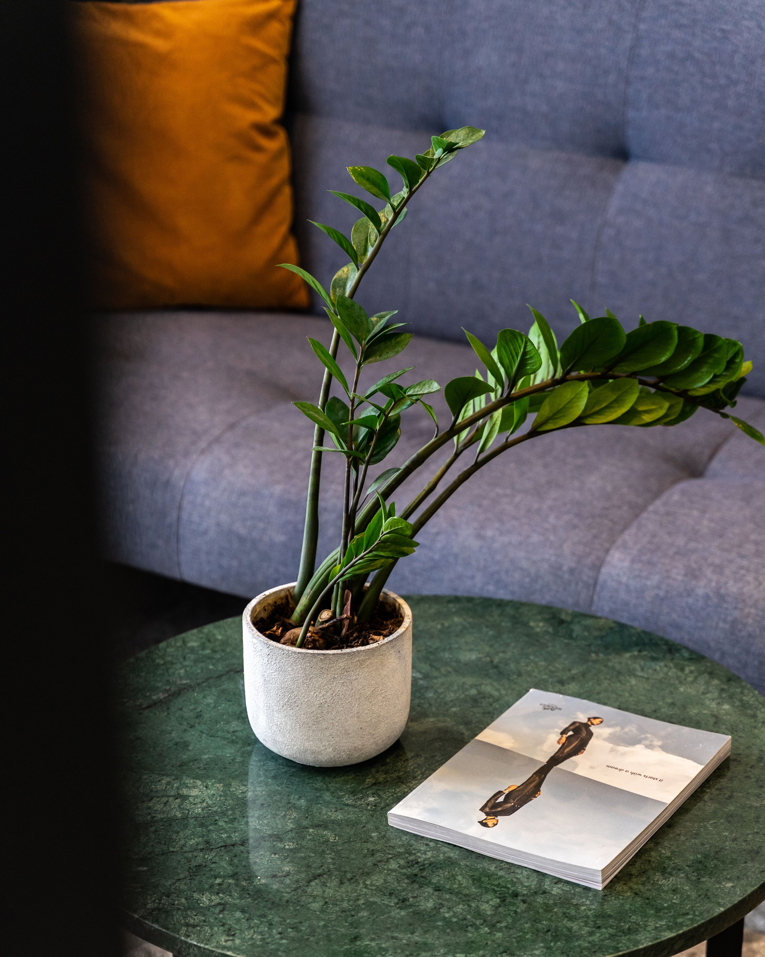 A potted plant on a round table with a book beside it.