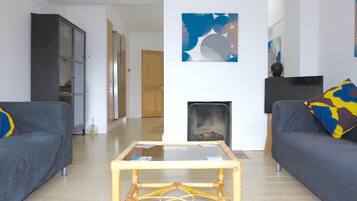 TV, fireplace, DVD player, books