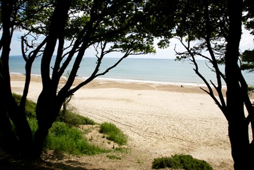 Wilson Cottage, New Forest - Near beaches and forest, 4 bedrooms, sleeps up to 8