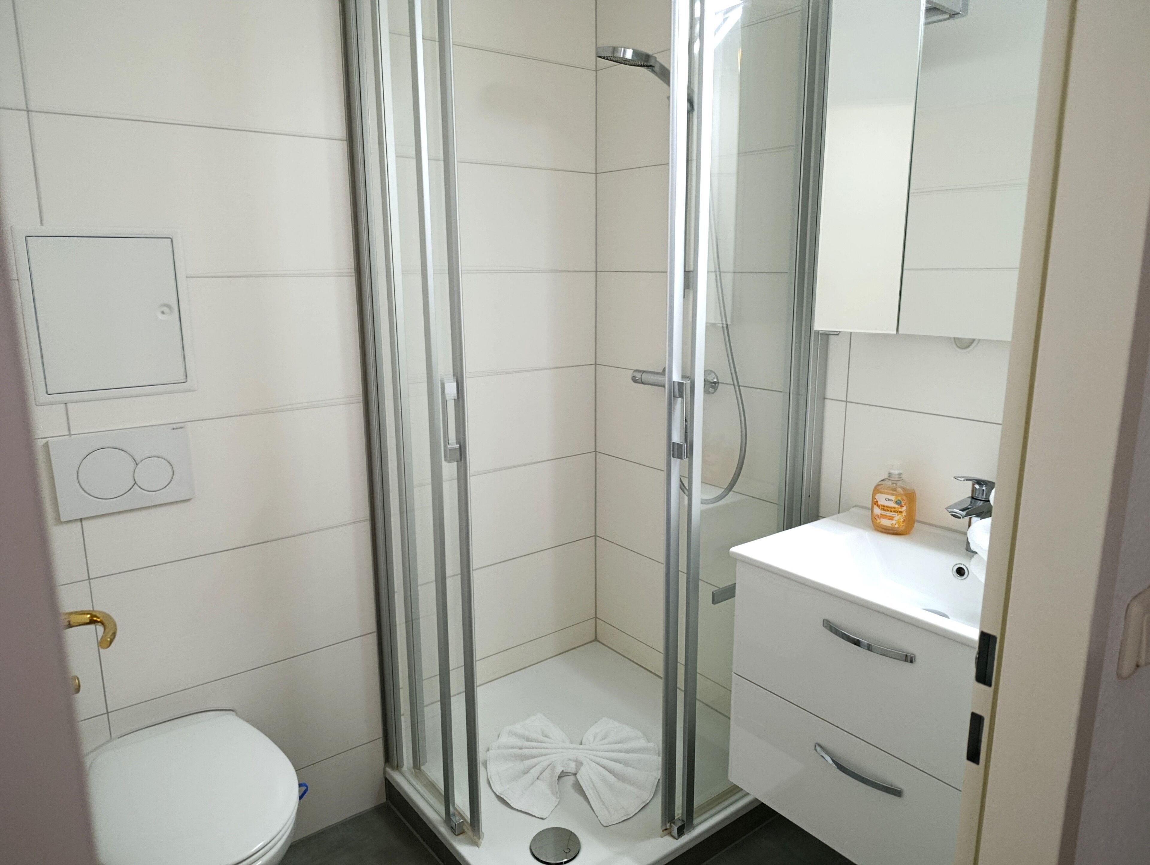 Shower, hair dryer, towels, soap