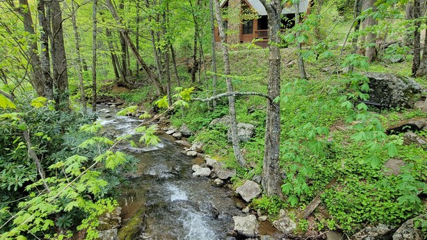 Una cabaña rodeada de un bosque con un arroyo serpenteante.