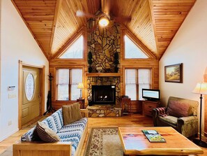 テレビ、暖炉、DVD プレーヤー、書庫