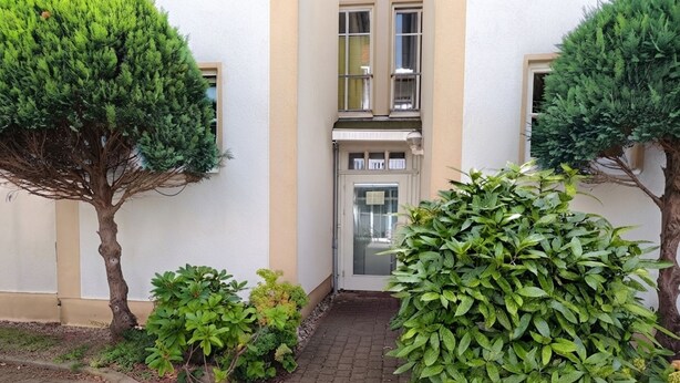 A building entrance with a paved pathway, a door, and two trees on either side. - Apartment Rosenhof 11 - Wh. 11 (Kühlungsborn)