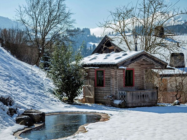 Apartment | Exterior - Huge Holiday Home in Hopfgarten im Brixental near Ski Lift (Hopfgarten im Brixental)