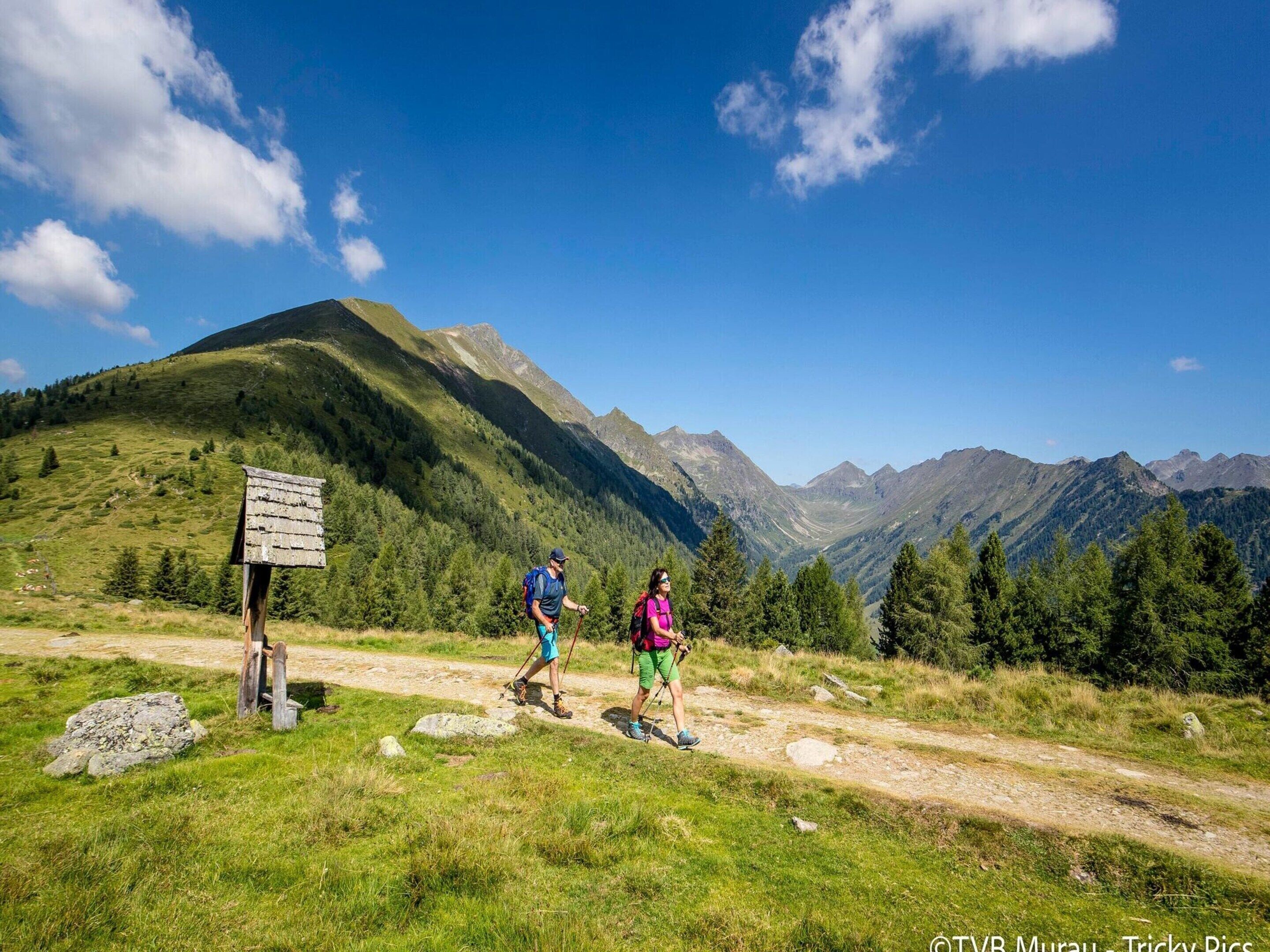 Ein Wanderweg in den Bergen mit einem hölzernen Wegweiser, umgeben von üppiger Vegetation und fernen Berggipfeln.