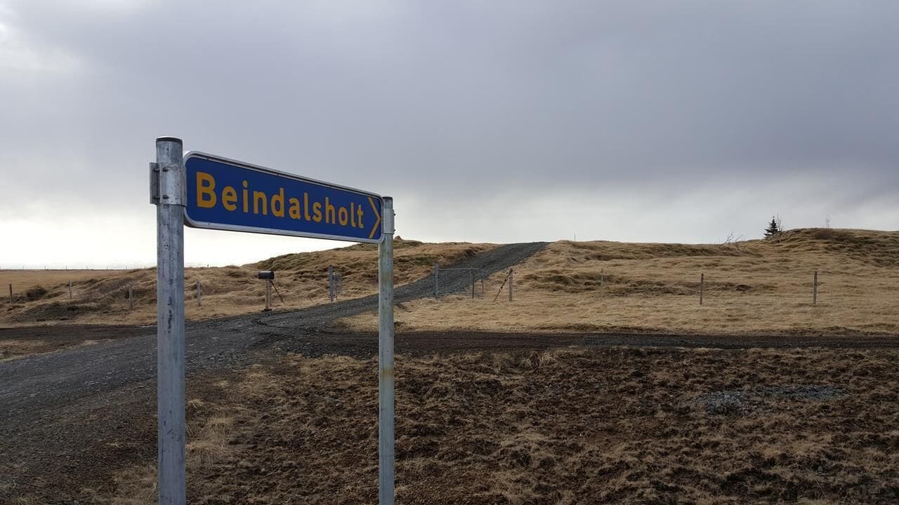 A signpost with the name "Beindalsholt" in a rural setting.