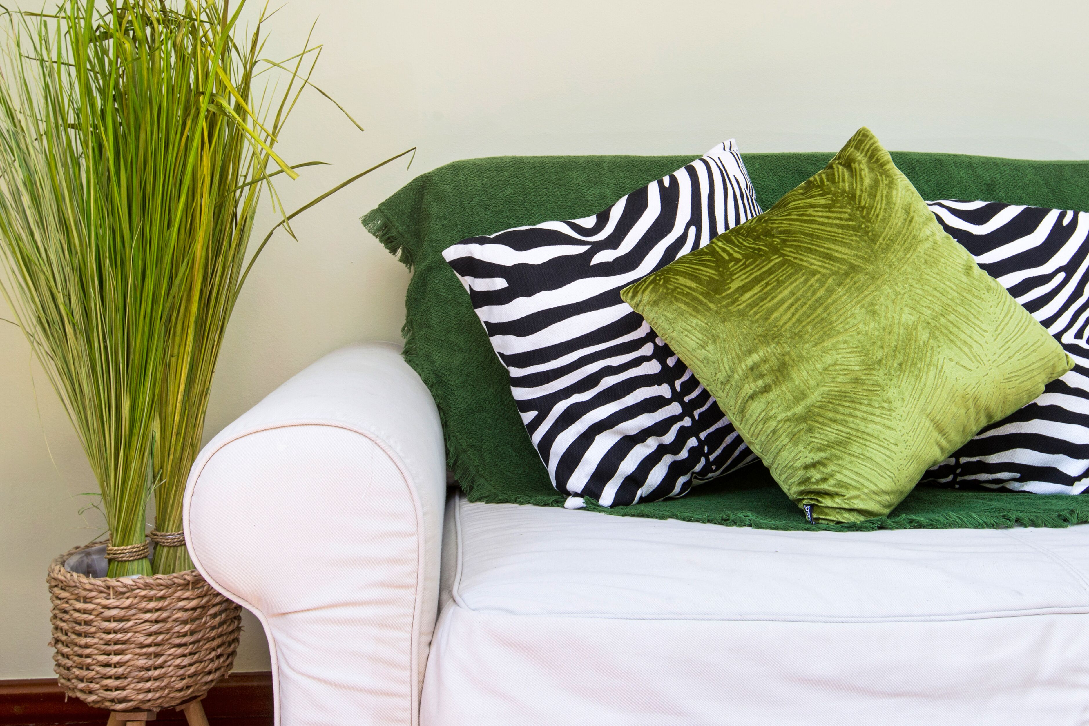 A white sofa with green and zebra-patterned pillows, a woven basket with green plants, and a plain wall in the background.