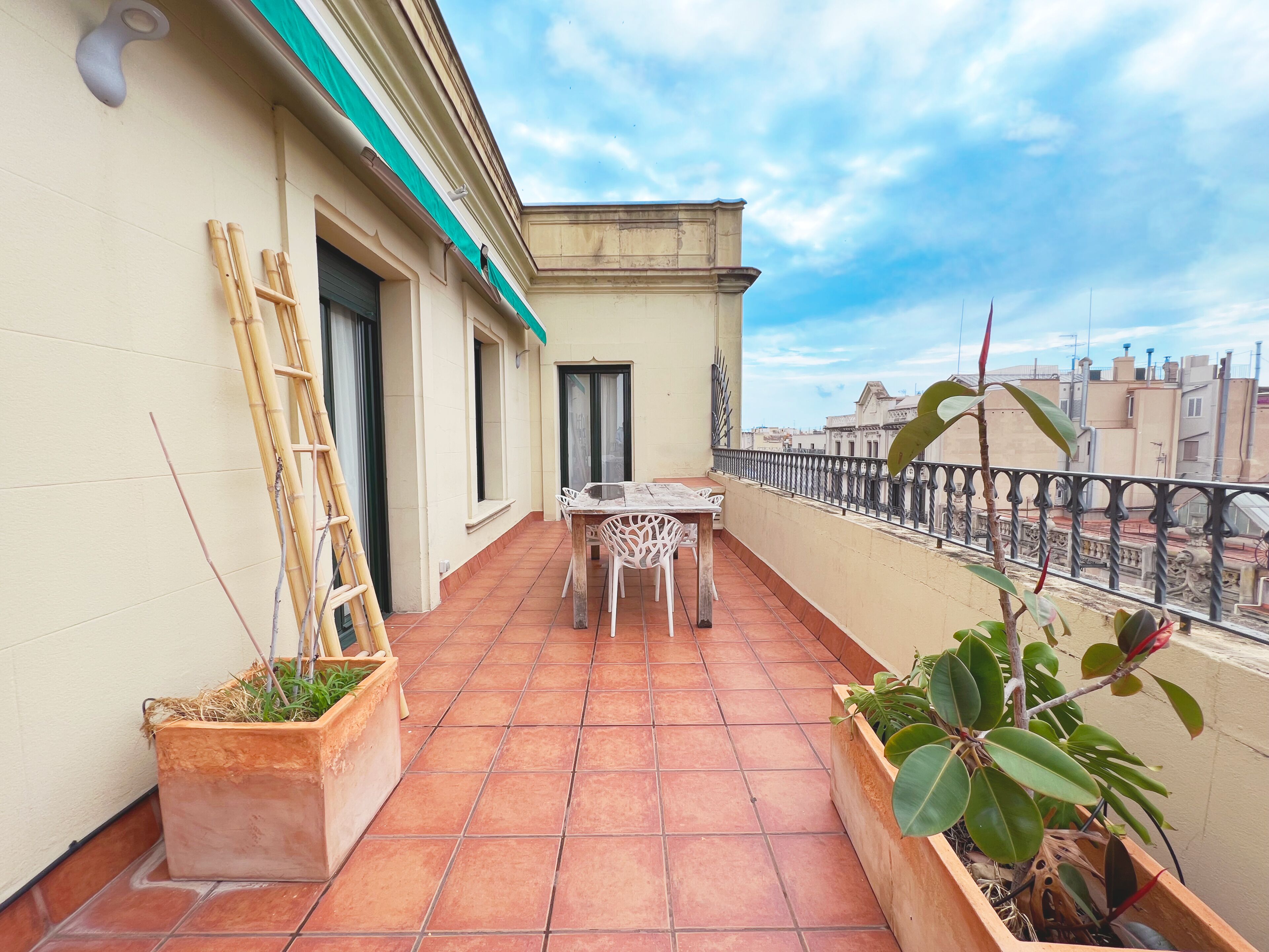 Apartment (4 Bedrooms) | Terrace/patio