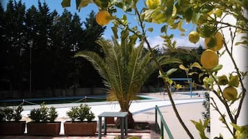 Zona piscina con una palma, piante in vaso e pavimento a scacchi.