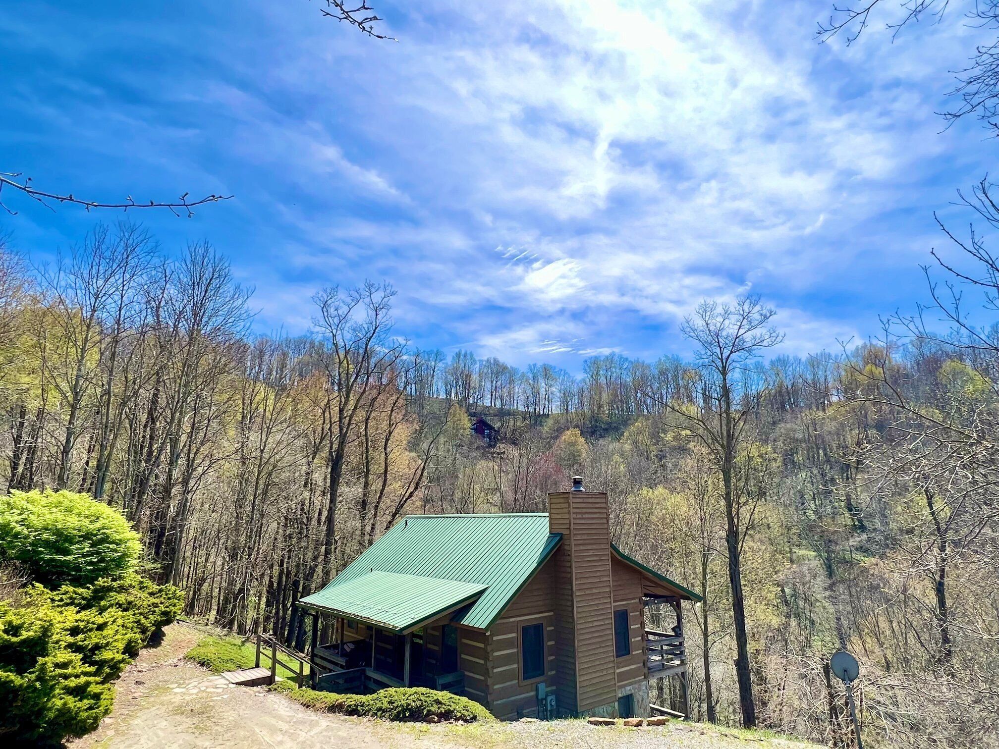 A cabin with a green roof, surrounded by trees and a clear sky.