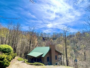 Exterior - Traders Gap - Hot Tub, Private Log Cabin, Wifi (Zionville)