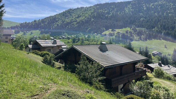 Eksteriør