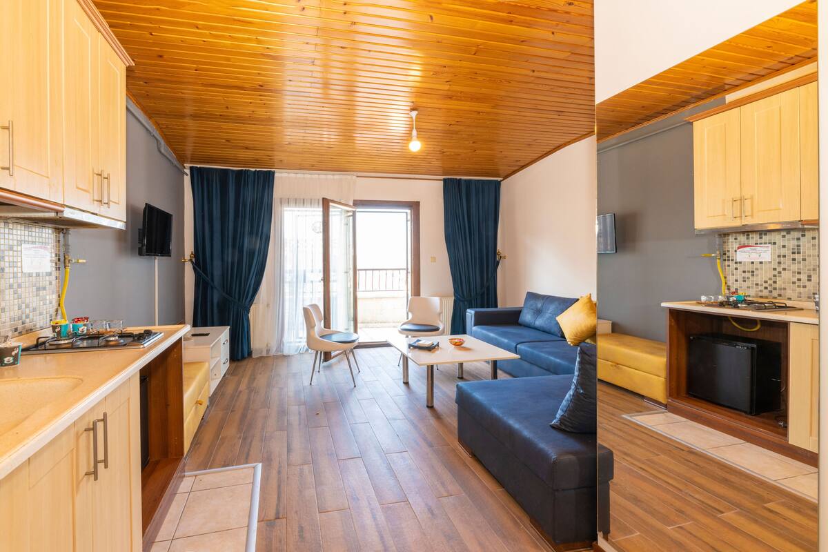 A compact living space with a kitchenette, a sofa, a dining table, and a TV.