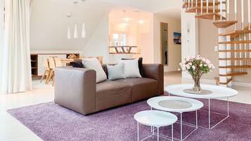 Flachbildfernseher, Kamin, DVD-Player, Bücher