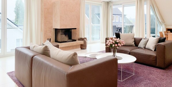 Télévision à écran plat, cheminée, lecteur de DVD, livres