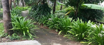 Sadhoo Inn