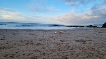 Aan het strand, ligstoelen aan het strand, strandlakens