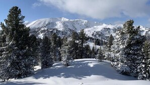 A snowy mountain landscape with evergreen trees. - Schladming Spacious Base With Sauna (Schladming)