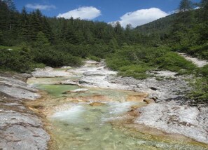 A river with clear water flowing through a rocky terrain surrounded by dense forest. - Schladming Spacious Base With Sauna (Schladming)