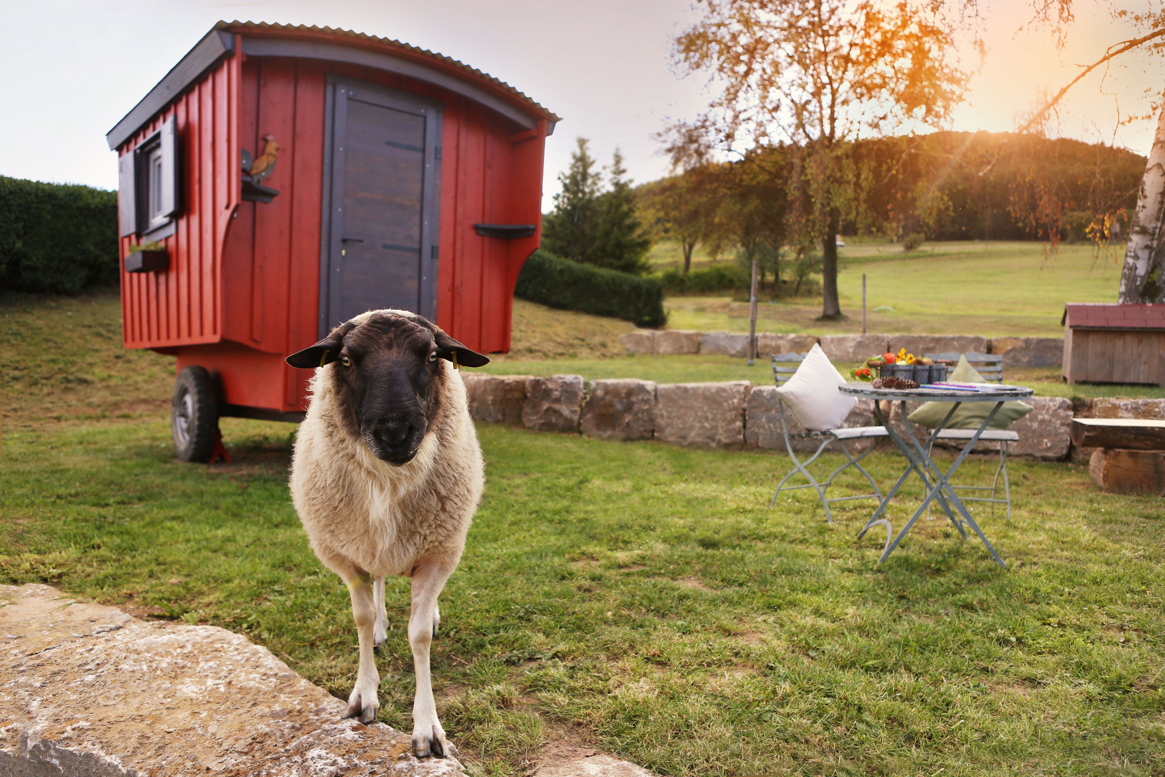 Wooden carriage (Jonas) | Iron/ironing board, free WiFi, bed sheets