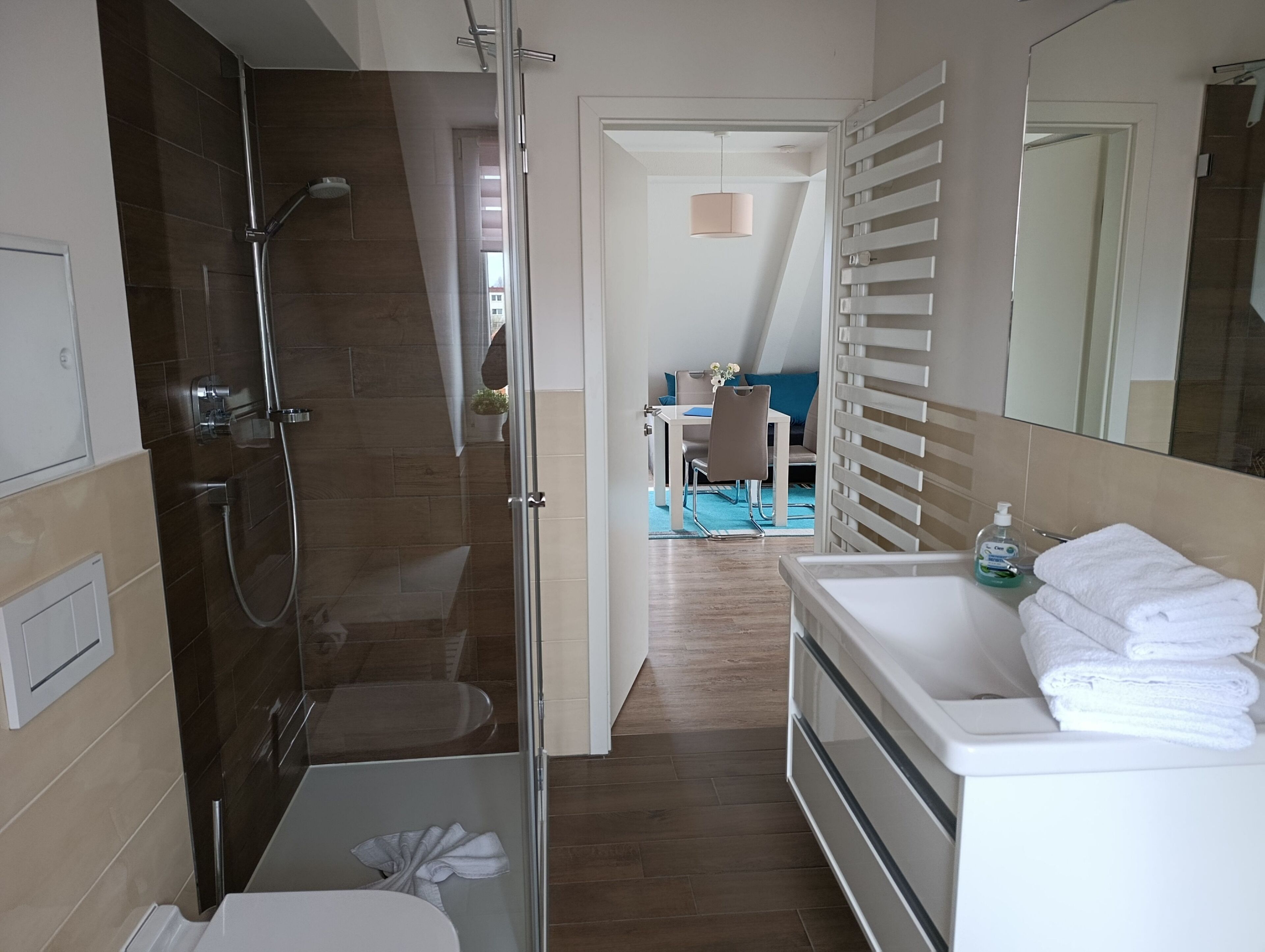 Dusche, Haartrockner, Handtücher, Seife