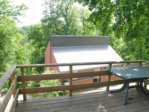 Nicely Furnished Bungalow With a Fireplace Near the Maas