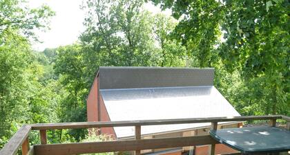 Nicely Furnished Bungalow With a Fireplace Near the Maas