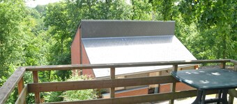 Nicely Furnished Bungalow With a Fireplace Near the Maas