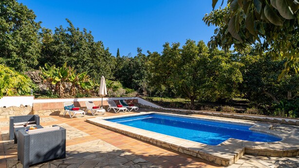 A rectangular swimming pool with a tiled edge, surrounded by a stone deck. There are lounge chairs with cushions and a small table with a glass of wine. The area is shaded by trees and has a stone wall in the background.