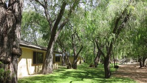 A row of yellow cabins with large trees in front, a playground, and a clear sky. - Siesta Park Holiday Resort (Busselton)