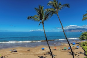 Una playa con palmeras, sombrillas y gente.