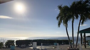 A gravel patio with palm trees, a gazebo, and a view of the ocean. - *Snowbirds Paradise* (Marathon)