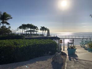 Vista de la playa con un pabellón, palmeras y un promontorio rocoso.