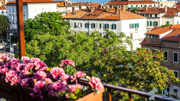 Un balcón con flores rosadas, vista de un paisaje urbano con edificios y árboles, y cielo despejado.