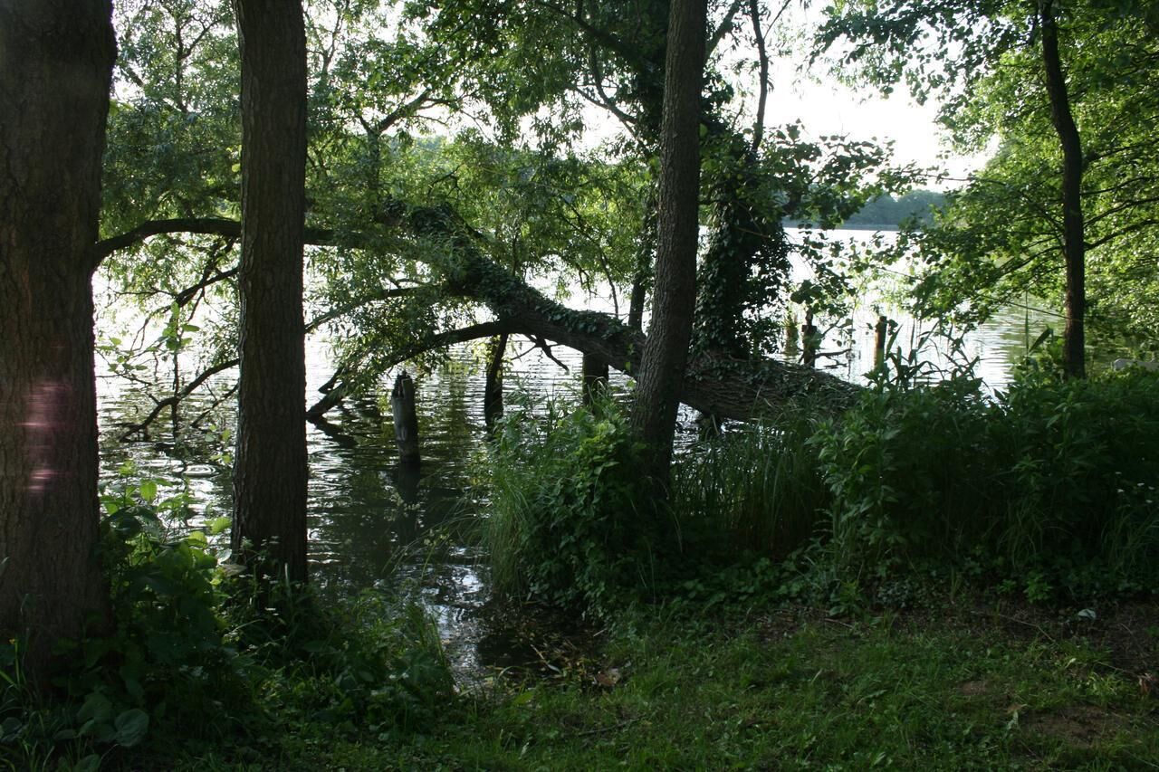 A natural landscape with trees and a body of water.