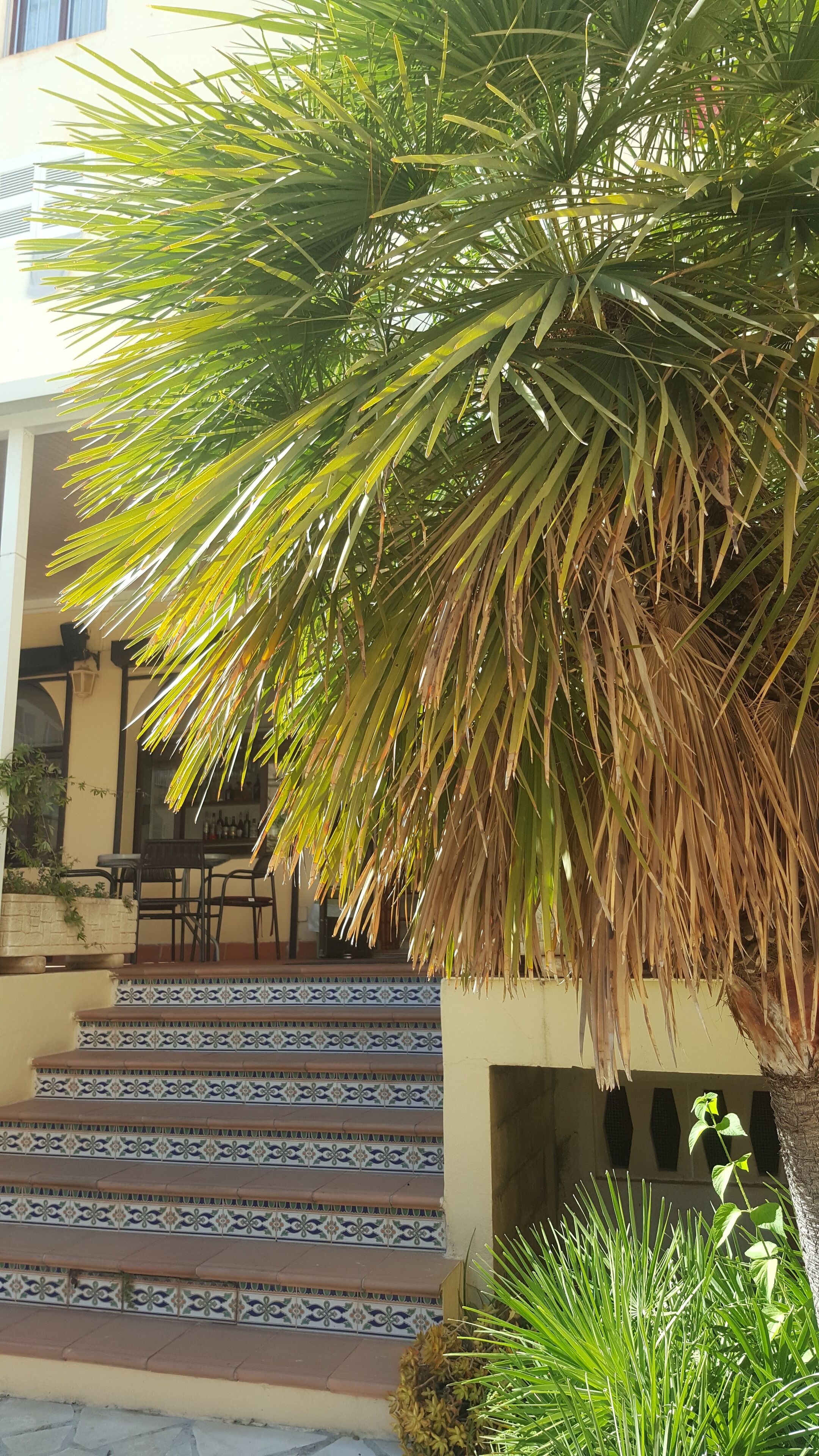Photo - Mamboo Hotel Cala Ratjada