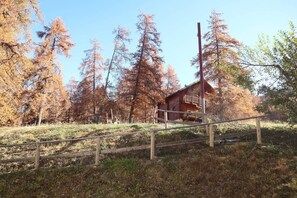 Exterior - 2nd floor, balcony, 30m², Les Orres (Les Orres)
