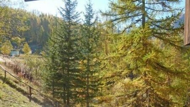 A view from a balcony overlooking a forested area with a wooden deck. - 50m from ski slopes, 3rd floor, balcony, 30m², Les Orres (Les Orres)