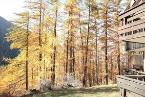 Property grounds - 50m from ski slopes, balcony, tv, ski locker, 35m², Les Orres (Les Orres)