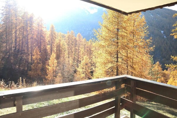 Property grounds - 50m from ski slopes, balcony, tv, ski locker, 35m², Les Orres (Les Orres)