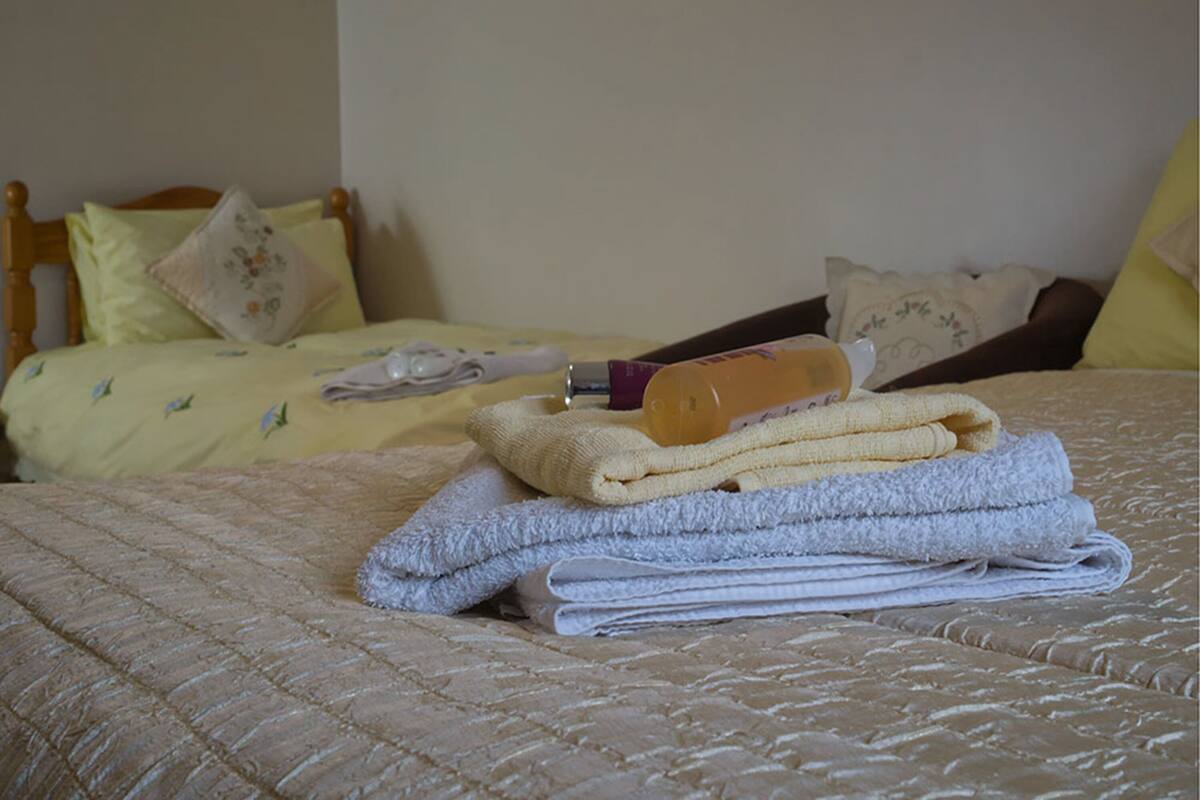 Quadruple Room (Adjoining Family Room) | Iron/ironing board, WiFi (free)