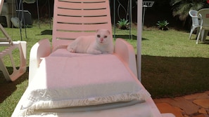 A white lounge chair with a white towel, set on a stone patio with grass and plants in the background.