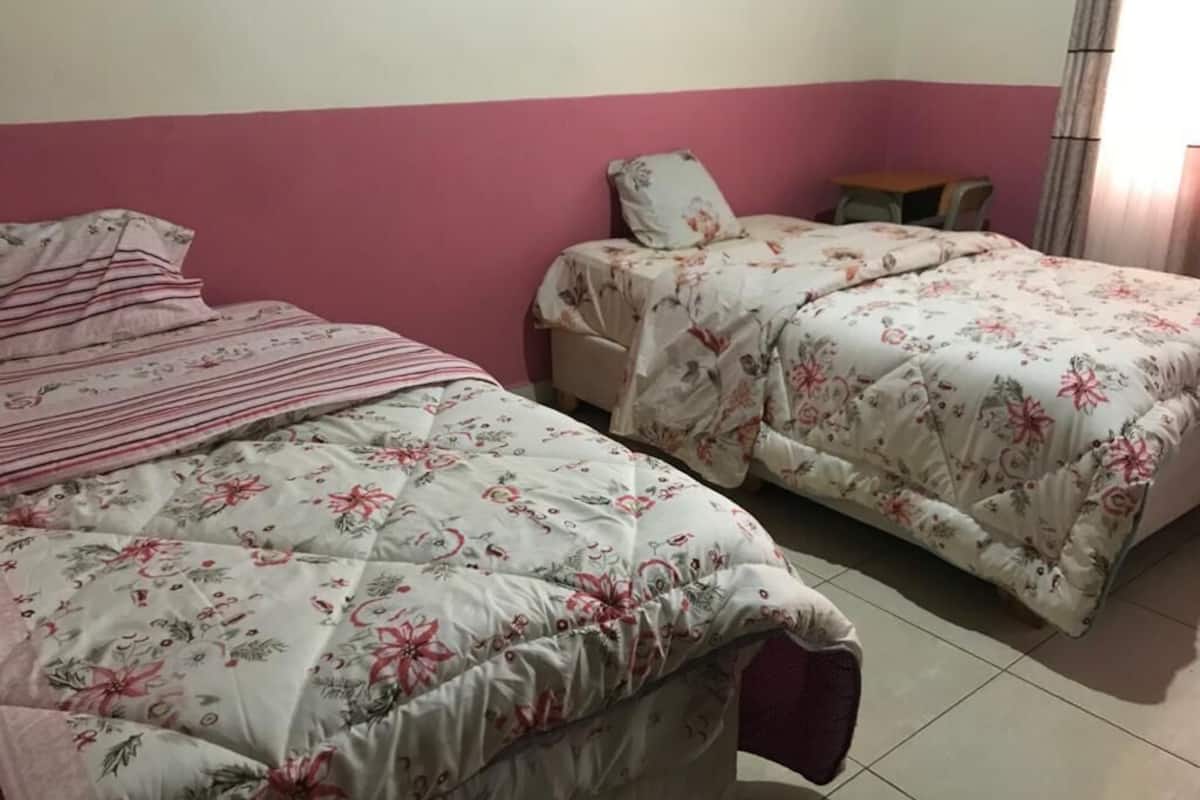 Deluxe Double or Twin Room | Desk, laptop workspace, iron/ironing board, free WiFi