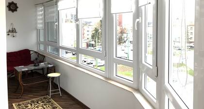 Fleur De Lys :PERFECT choice if you are in Brasov on vacation or for bussiness