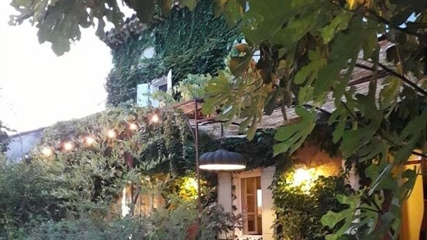 Un patio empedrado con plantas en macetas y una silla de madera.