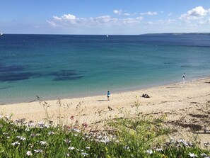 A beach with clear water, a sandy shore, and some vegetation in the foreground.