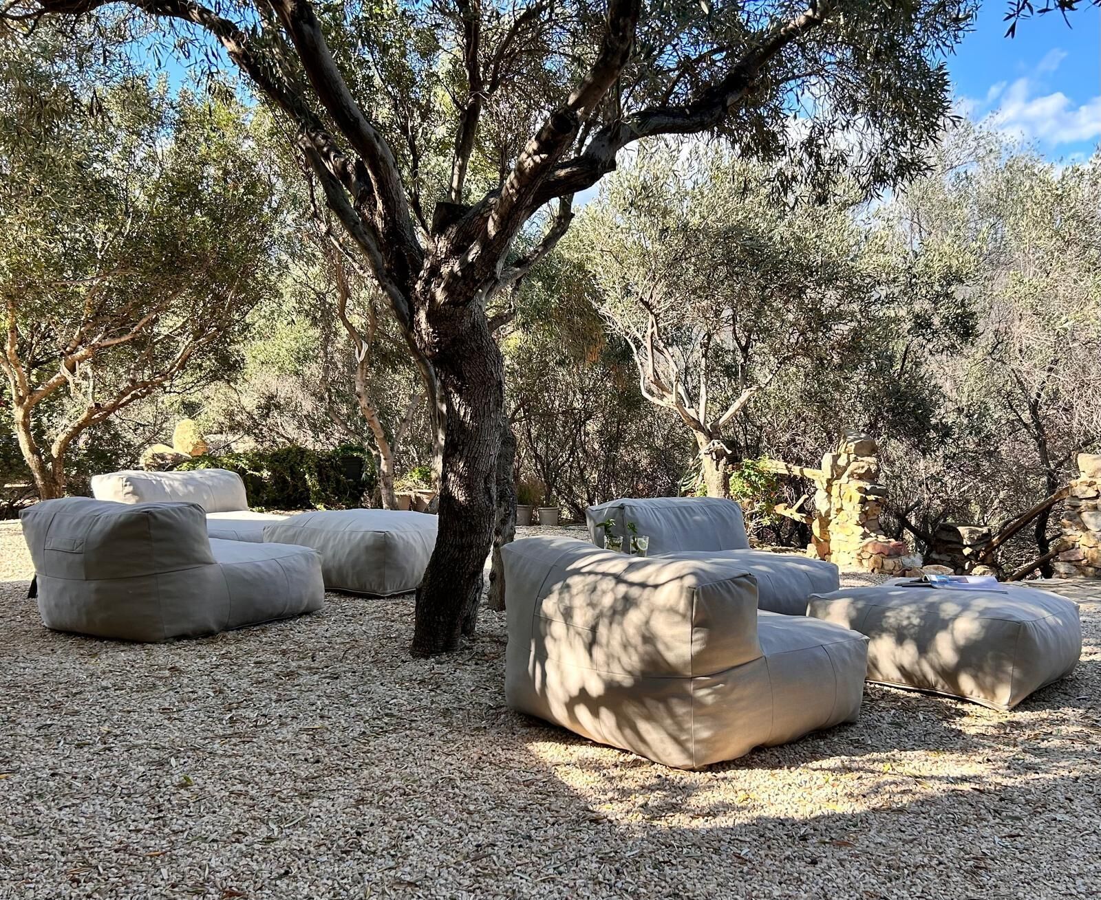 Mesa y sillas al aire libre con un árbol en el centro, rodeado de olivos.
