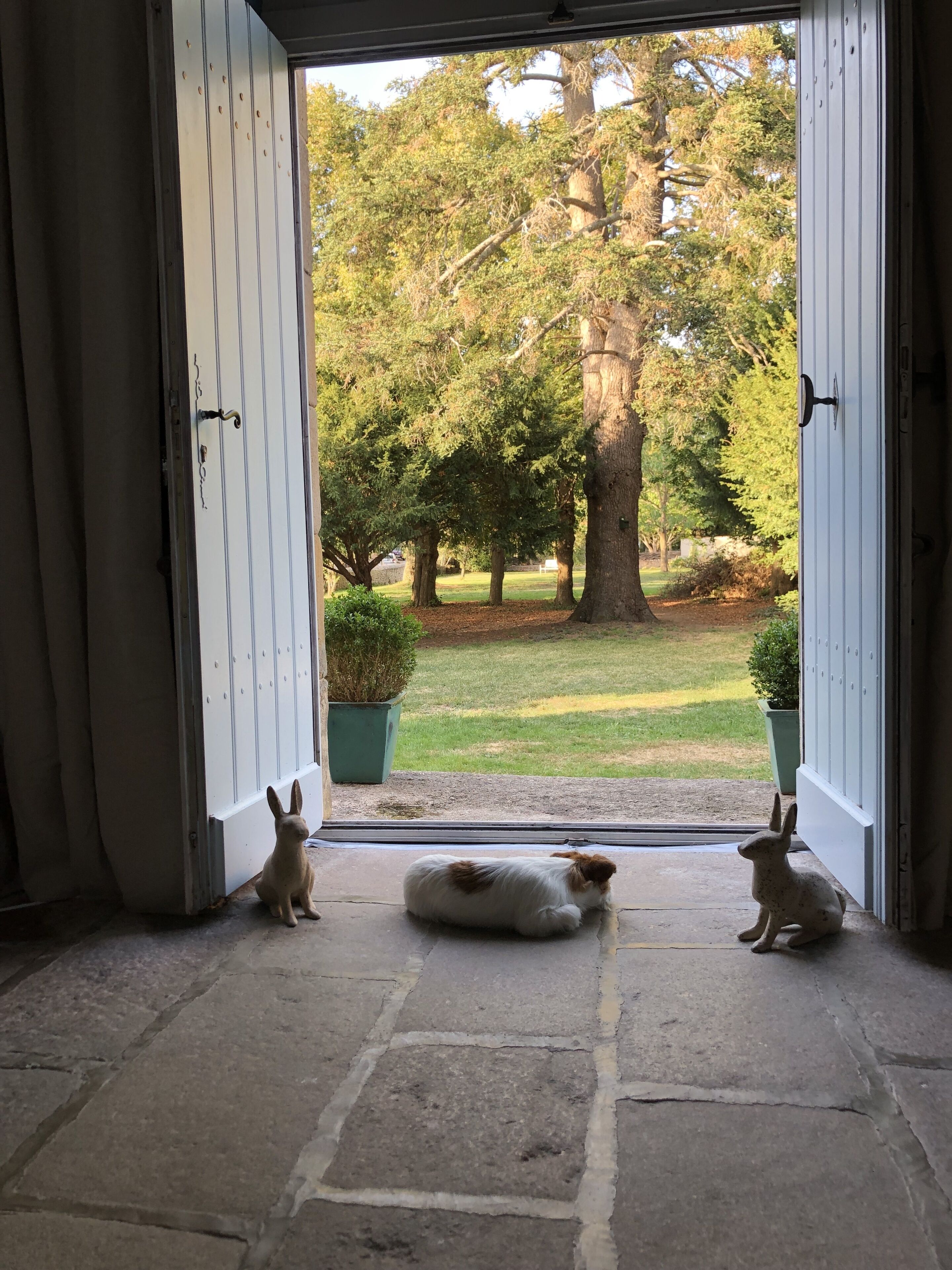 Une porte donnant sur un jardin, avec deux lapins visibles.