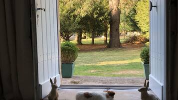 A doorway with a view of a garden and two rabbits.