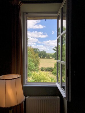 A window with a view of a green landscape, a radiator below, and a lamp to the left. - Zone Bleue (Hyds)